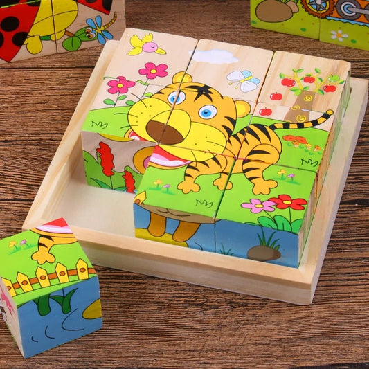 Puzzle 3D en Bois 6 en 1